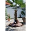 Beschermhoes Voor Wortel Palmboom 1 Beschermhoes Voor Wortel Palmboom -Tuinadvies wortelbescherming palmboom 1484056031 1 600