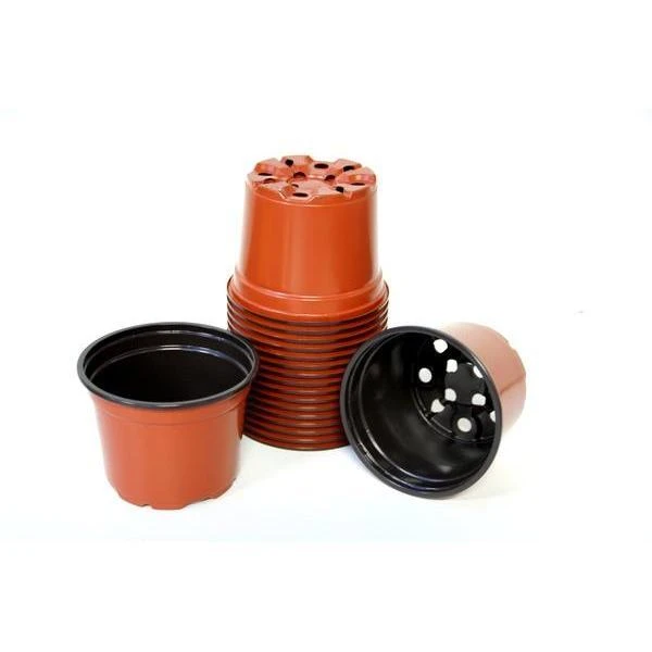 Tuinadvies -Tuinadvies bruine ronde 9 cm potten 1484054955 2 600